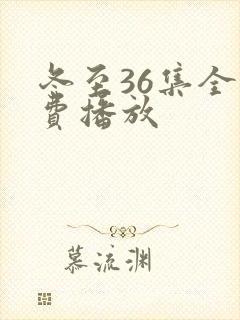 冬至36集全免费播放