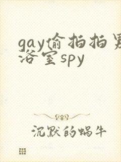 gay偷拍拍男浴室spy封面