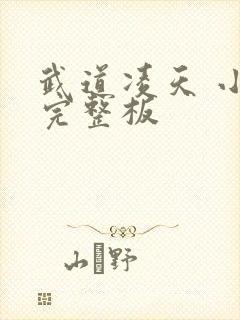 武道凌天 小说完整板封面