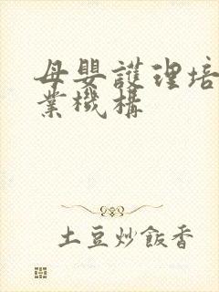 母婴护理培训专业机构