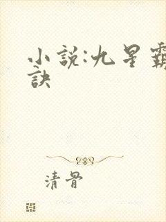 小说:九星霸体诀