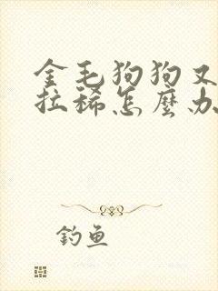 金毛狗狗又吐又拉稀怎么办