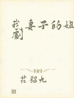 我妻子的姐姐韩剧
