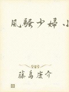 风骚少妇 小说封面