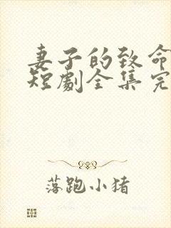 妻子的致命谎言短剧全集完整版封面