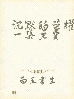 沉默的荣耀最后一集免费