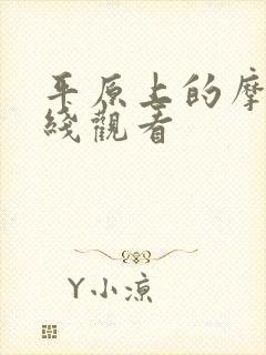 平原上的摩西在线观看