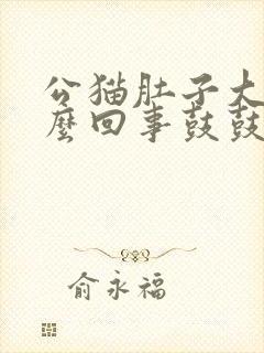 公猫肚子大是怎么回事鼓鼓的