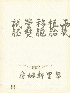 试管移植两个囊胚双胞胎几率高吗