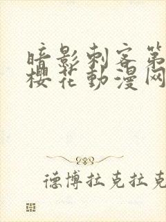 暗影刺客第四季樱花动漫网站