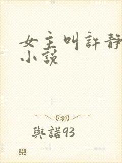 女主叫许静宜的小说