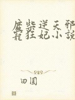 废柴逆天邪王霸宠狂妃小说封面