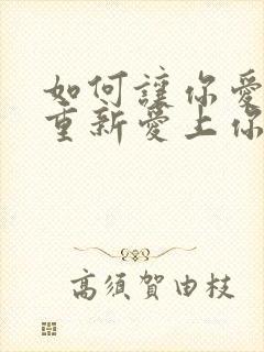 如何让你爱的人重新爱上你封面