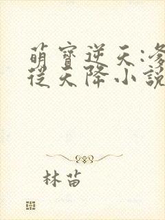 萌宝逆天:爹地从天降小说