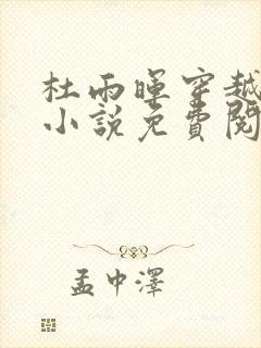 杜雨晖穿越宋朝小说免费阅读