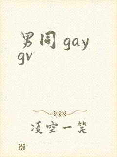 男同 gay gv