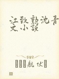 江致勋沈青青全文小说