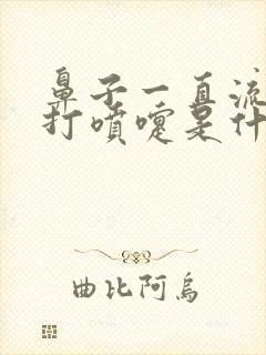 鼻子一直流鼻涕打喷嚏是什么原因