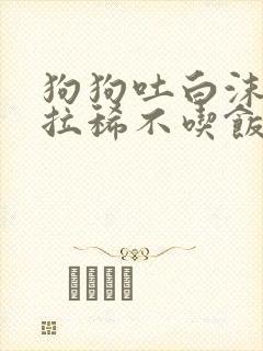 狗狗吐白沫黏液拉稀不吃饭没精神