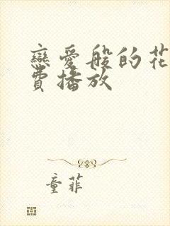 恋爱般的花束免费播放