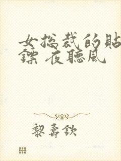 女总裁的贴身保镖 夜听风