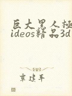 巨大黑人极品videos精品3d封面