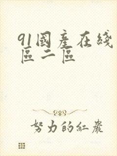 91国产在线一区二区