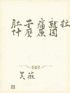 肚子痛就拉大便什么原因