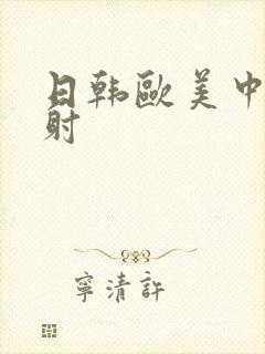 日韩欧美中出内射