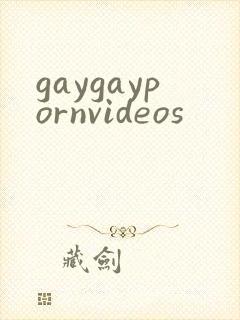 gaygaypornvideos