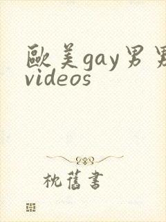 欧美gay男男videos