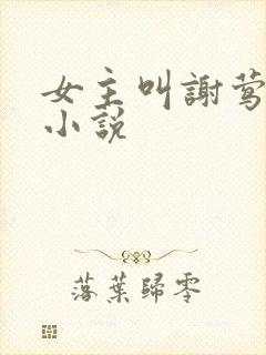 女主叫谢莺眠的小说