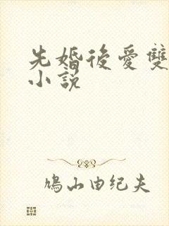 先婚后爱双女主小说封面