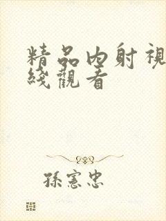 精品内射视频在线观看