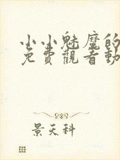 小小魅魔的仆人免费观看动漫版全集高清