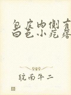 包皮内侧有一排白色小疙瘩