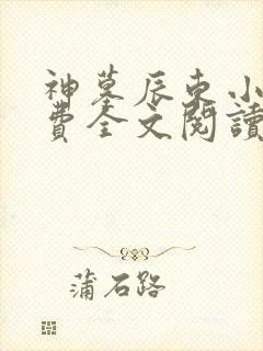 神墓辰东小说免费全文阅读