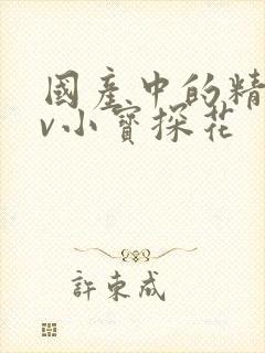 国产中的精品av小宝探花