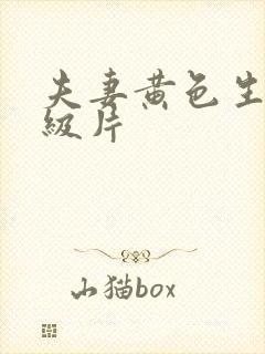 夫妻黄色生活一级片