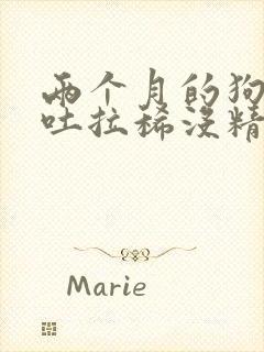 两个月的狗狗呕吐拉稀没精神