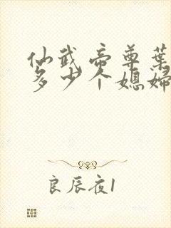 仙武帝尊叶辰有多少个媳妇