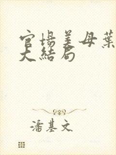 官场美母叶玉瑶大结局