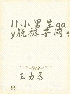 11小男生gay脱裤子网站