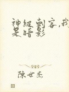 神级刺客,我即是暗影