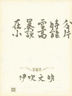 在暴雪时分原著小说高能片段封面