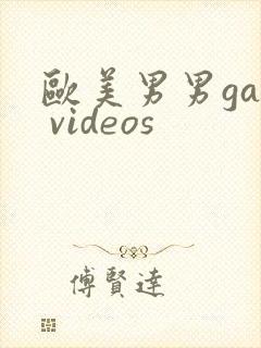 欧美男男gay videos