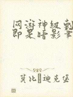 网游神级刺客我即是暗影笔趣阁