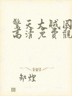 惊天大贼国语版高清免费观看