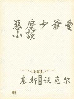 恶魔少爷爱上我小说