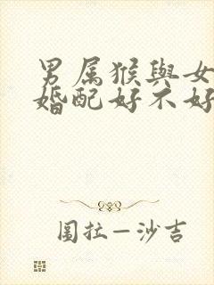 男属猴与女属蛇婚配好不好封面